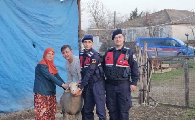 Çanakkale’de kaybolan 24 küçükbaş hayvan jandarma tarafından bulundu
