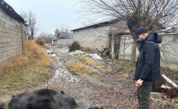 Erzincan’da at ve eşek silahla katledildi