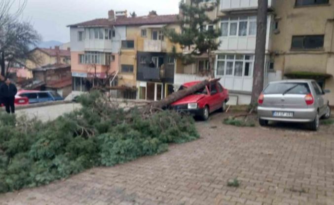 Gediz’de şiddetli rüzgar ağaçları devirdi, binalarda hasara sebep oldu