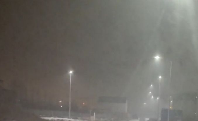 Iğdır’da kurtlar yerleşim yerlerine indi