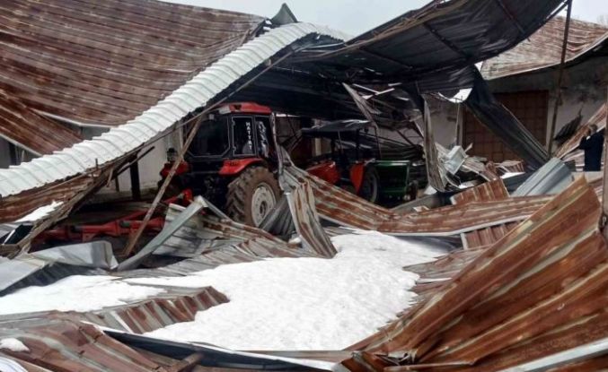 Kar birikintisi mandıra çatısını çökertti: 4 ton buğday zarar gördü