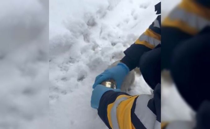 Kedinin başına sıkışan konserveyi sağlık ekipleri çıkardı