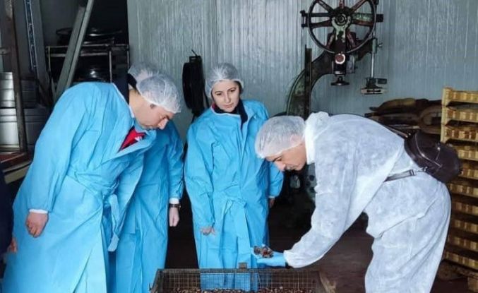 Mama hammadde üretim tesisinde inceleme