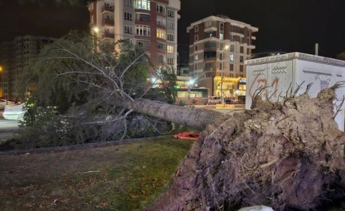 Meteoroloji’den ’kuvvetli rüzgar’ ve ’fırtına’ uyarısı