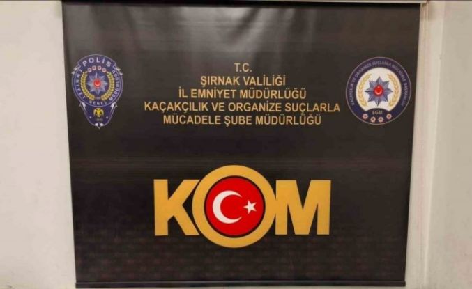 Şırnak’ta narkotik ve kaçakçılık operasyonu: 3 tutuklama