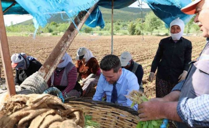 Başkan Tatık’tan tütün firmalarına ’Alım takvimi açıklayın’ çağrısı