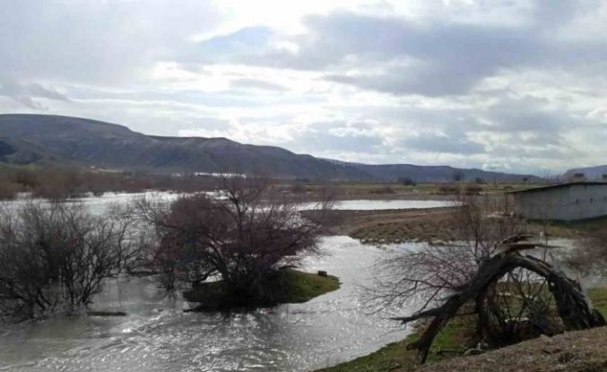 Beypazarı’nda ekili araziler sular altında kaldı