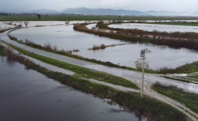 Büyük Menderes nehrindeki taşkın karayolunu kapattı