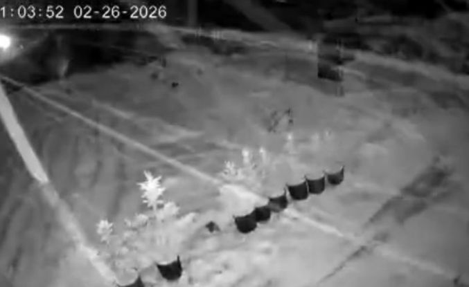 Çankırı’da kar yağışı etkili oluyor