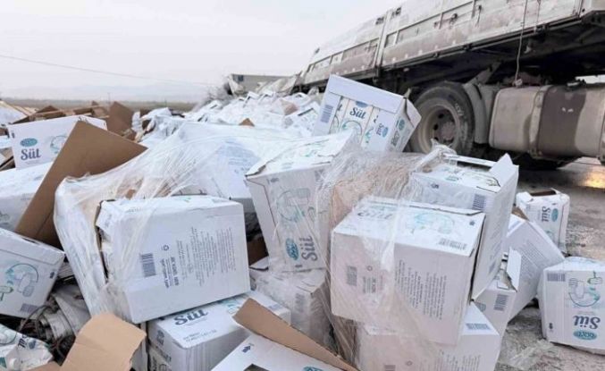Devrilen tırdaki 25 ton süt çevreye dağıldı