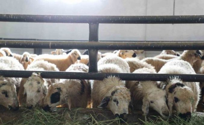 Elazığ’da 6 köy karantinaya alındı