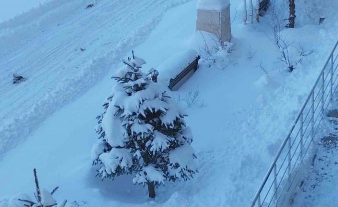 Erciş’te kar yağışı