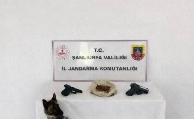 Eyyübiye’de uyuşturucu operasyonu: 1 tutuklama