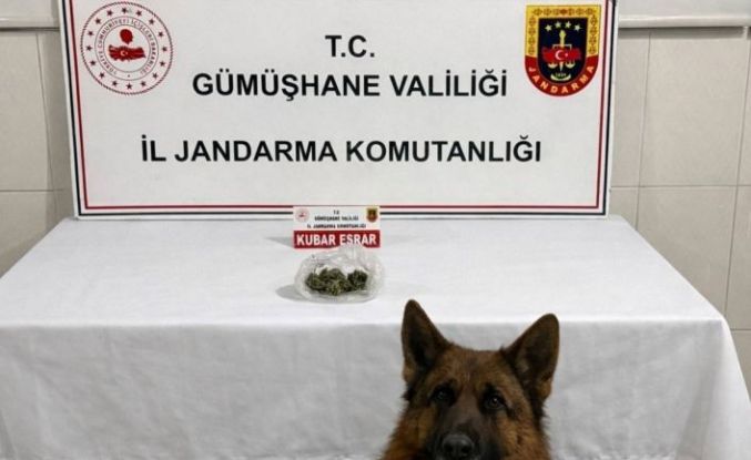 Gümüşhane’de uyuşturucu operasyonu