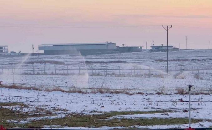 Karla kaplı arazide kaçak elektrikle sulama