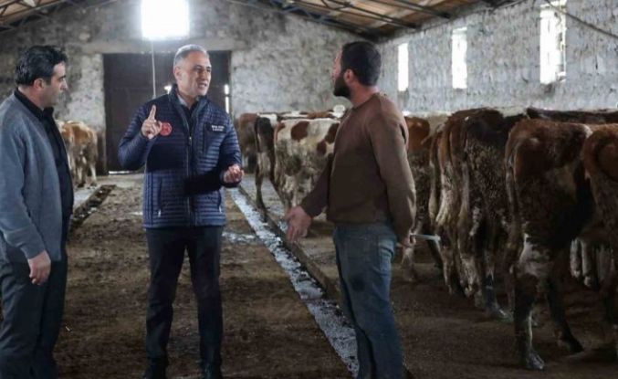 Kars Tarım ve Orman Müdürlüğü sahada: Bayraktar Köyü’nde büyükbaş işletmesine ziyaret