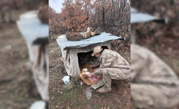 Köy yoluna bırakılan yavru köpeklere jandarmandan şefkat eli