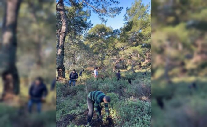 Köylülerden imece usulü temizlik etkinliği