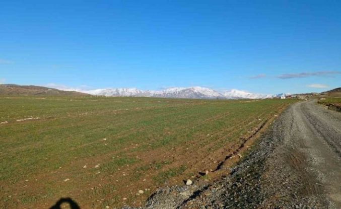 Kulp’ta yağışlar çiftçinin umudu arttı