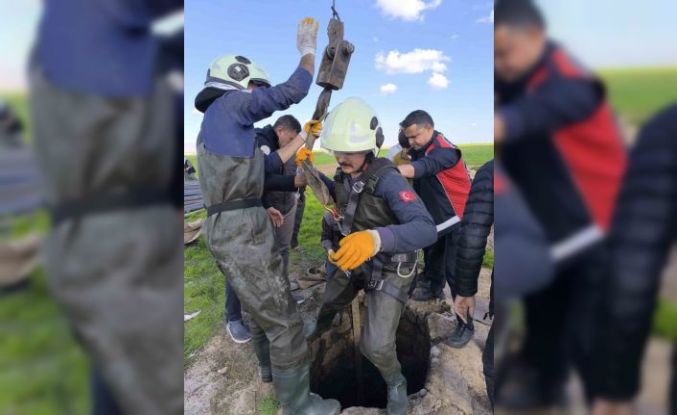 Kuyuya düşen inek itfaiye ekiplerince kurtarıldı