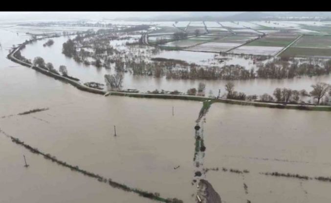 Meriç Nehri taştı, Subaşı’ndaki tarım arazileri sular altında kaldı