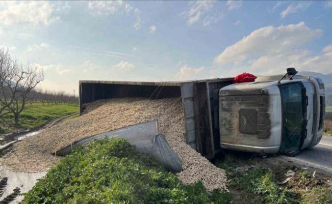 Mısır koçanı yüklü çekici devrildi: 1 yaralı