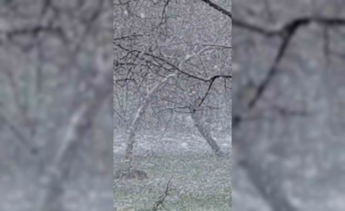 Mudurnu’da lapa lapa kar yağışı etkili oldu