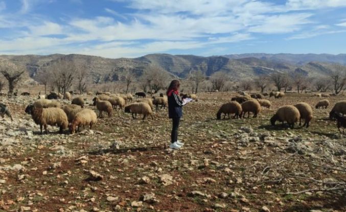 Ormaniçi’nde mera seferberliği: Ekipler sahada, arazi kullanımı mercek altında