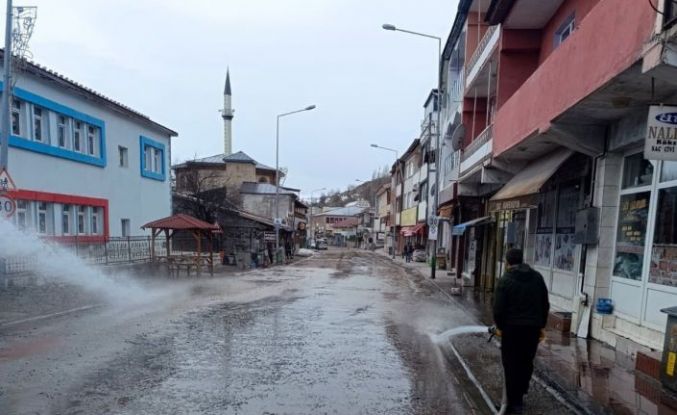 Posof’ta bahar temizliği