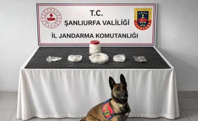 Şanlıurfa’da uyuşturucu operasyonu: 1 gözaltı