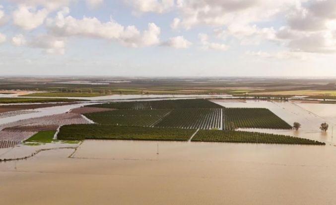 Tarsus Belediyesi sel ve fırtına sonrası zarar tespiti için sahada