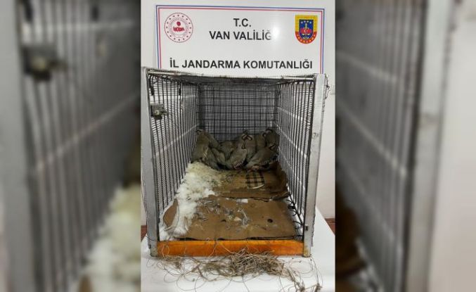 Van’da keklik avına 75 bin 303 TL idari para cezası