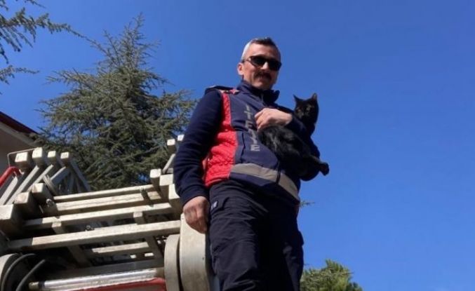Ağaçta kalan kediyi itfaiye kurtardı