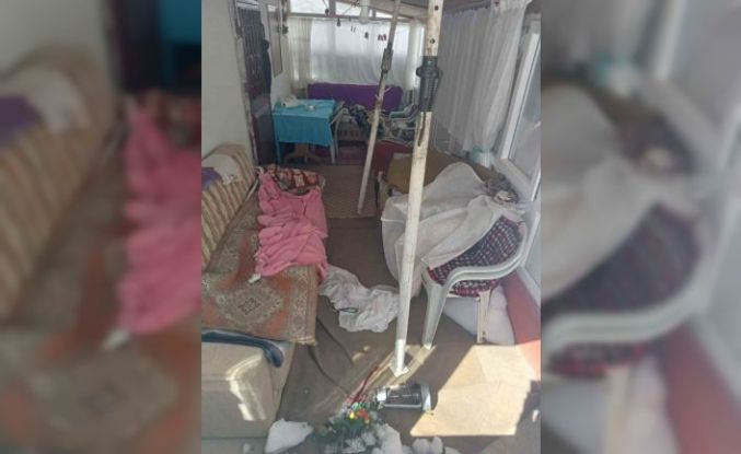 Ayıların Sis Dağı’ndaki yayla evlerine girme mesaisi yeniden başladı