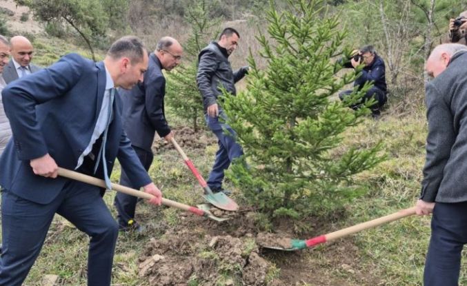 Bartın’da hükümlüler fidan dikti