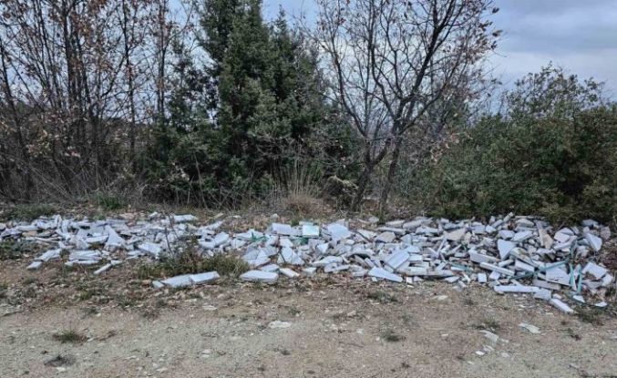 Bu kadarı da pes dedirtti