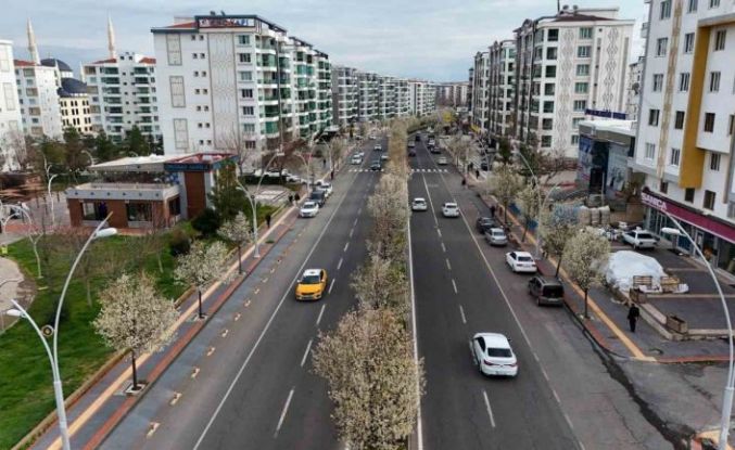 Bulvarlar süs armutlarıyla görsel şölene dönüştü