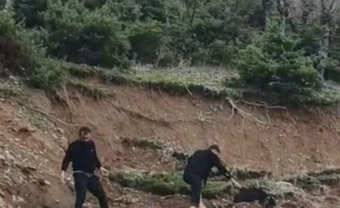 Çamura saplanan keçi son anda kurtarıldı