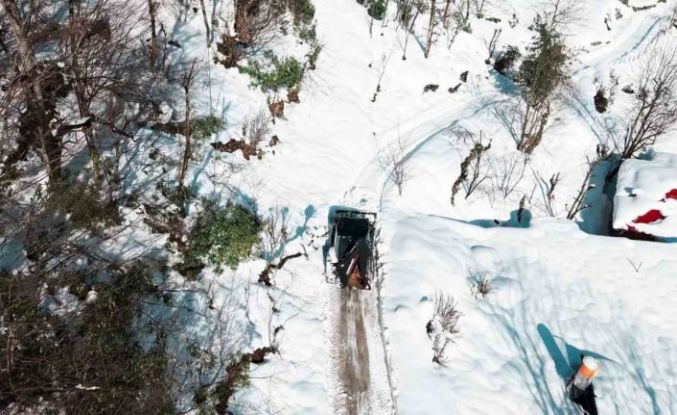 Giresun’un yüksek kesimlerinde karla mücadele sürüyor