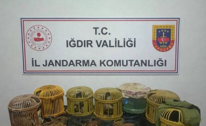 Iğdır’da kaçak keklik avcılarına 175 bin TL ceza