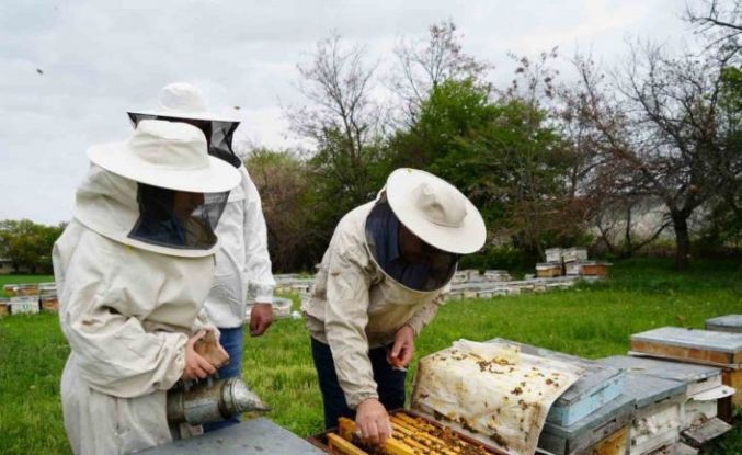 Kış uykusundan uyanan arılar Erzincan’da yeni sezona hazırlanıyor