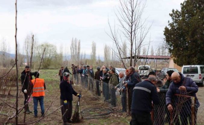 Meyve fidanı satışı 30 Mart’ta yapılacak