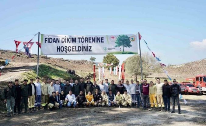 Milas’ta yanan sahalar fidanlarla canlanıyor