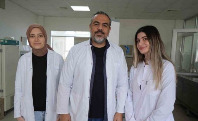 OMÜ projesiyle gıda endüstrisine pH duyarlı doğal renklendirici adayı