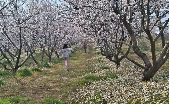 Sarıgöl’de kartpostallık manzara