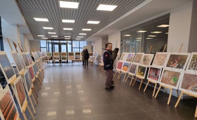 Sinop’ta "Tarım, Orman ve İnsan Sergisi" açıldı