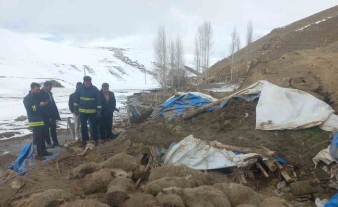 Van’da ahır çöktü, 23 küçükbaş hayvan telef oldu