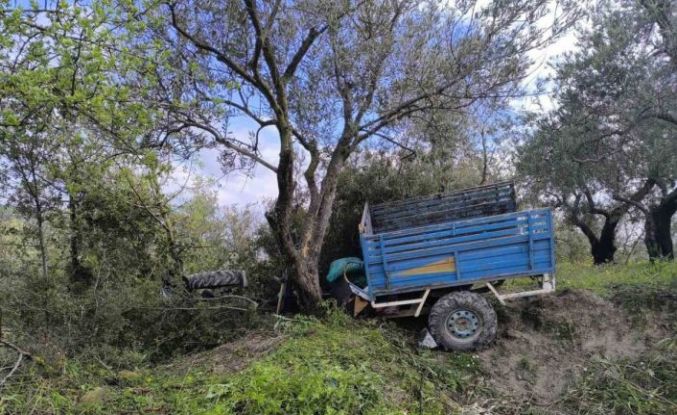 Zeytin bahçesine uçan patpatın sürücüsü öldü