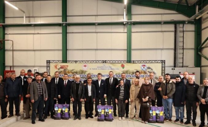 Amasya’da çiftçilere 16 bin kilo yonca tohumu desteği