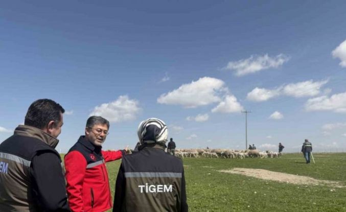 Bakan Yumaklı: (Kırsalda Bereket Küçükbaşa Destek Projesi) "En iyi ırkın oluşturulması için çalışılmış sürülerden verilecek"